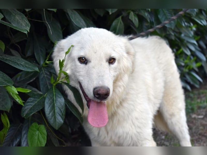 Florenz - bereit für das Abenteuer Leben