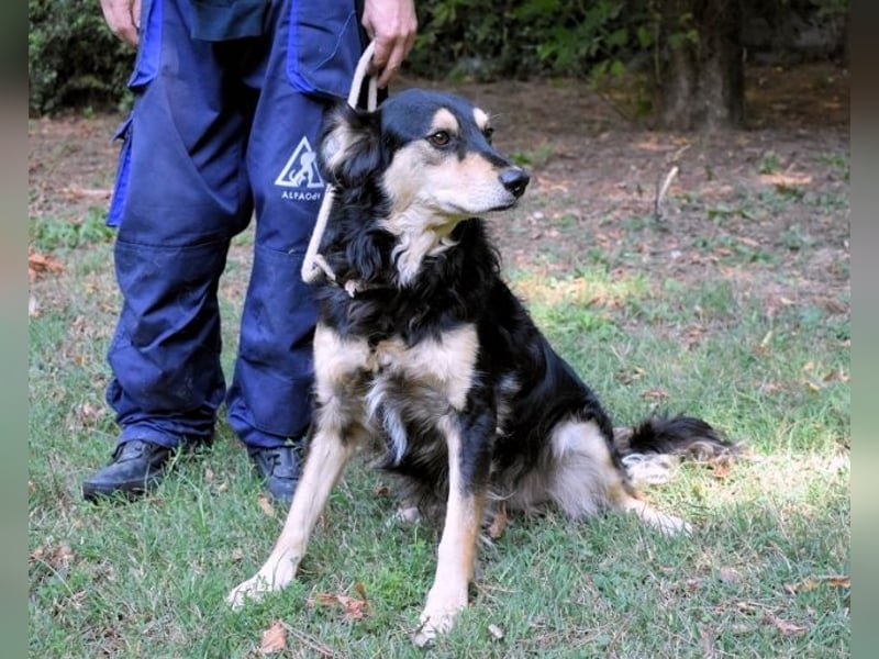 Daxter - wann darf sein Leben beginnen? Daxter - wann darf sein Leben beginnen?