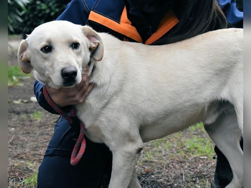 Hughie - macht ein Freundschaftsangebot