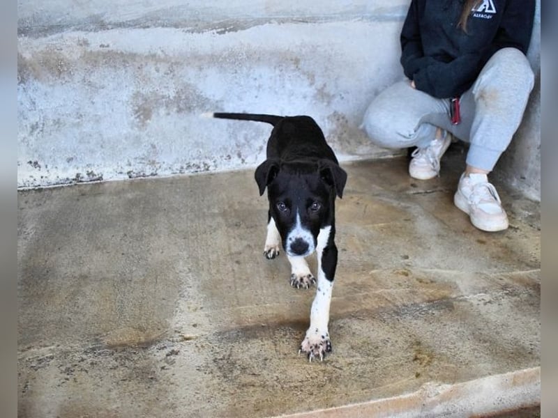 Mavette - Es soll DEIN Leben werden