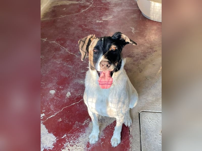 Phönix - Wege aus der Vergangenheit