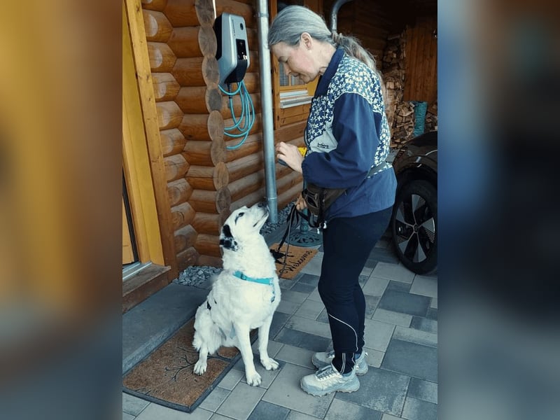 Marni - Dieses Herz hat schon zu lange gewartet