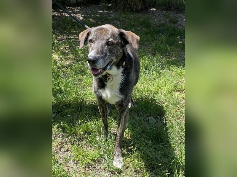 Lola - Das Herz hat seine Gründe