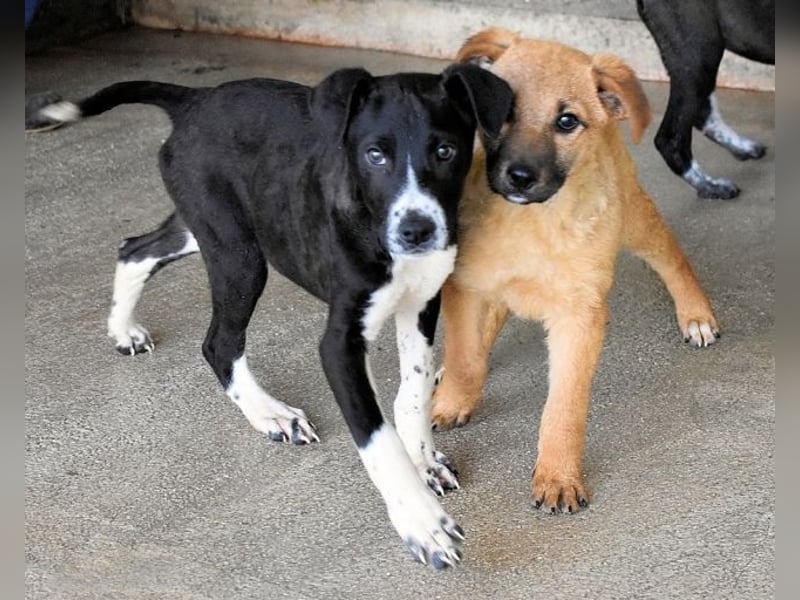 Mavette - Es soll DEIN Leben werden