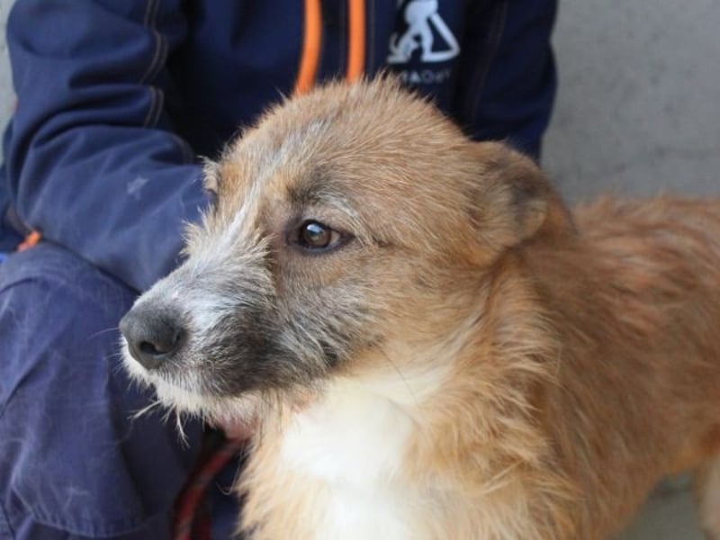 Renilde - eifrige Interviewpartnerin hat Pluspunkte gesammelt