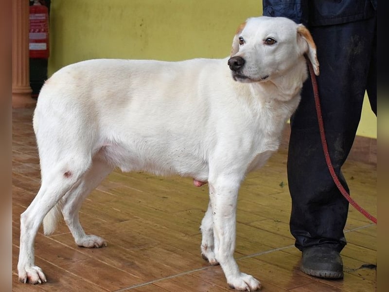 Ghemon - Notfall - Wie wenig kann ein Leben zählen?