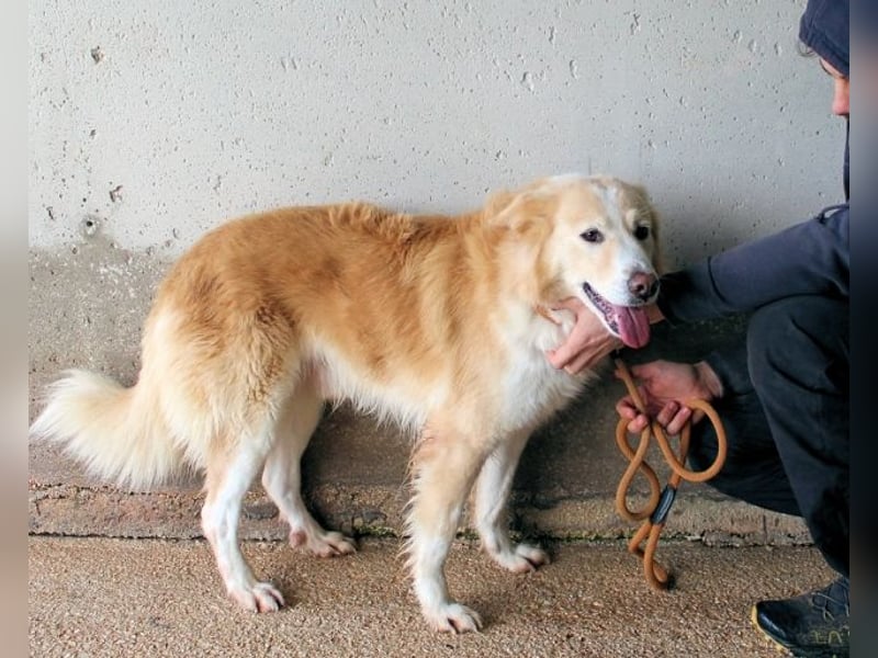 Tirvian - Kurz Alarm, dann Charme