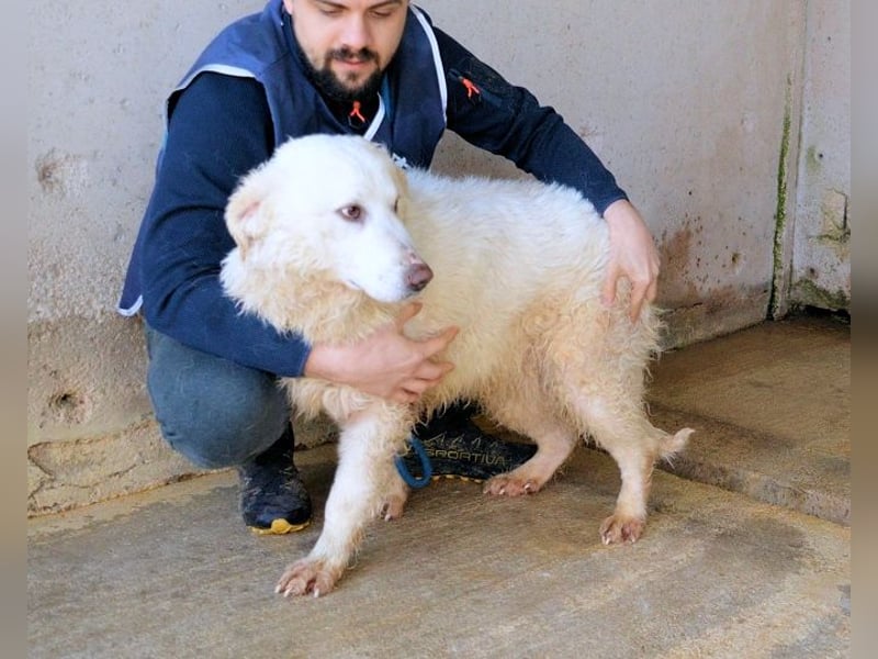 Abreena - Selbstbewusst, verspielt und voller Zuneigung