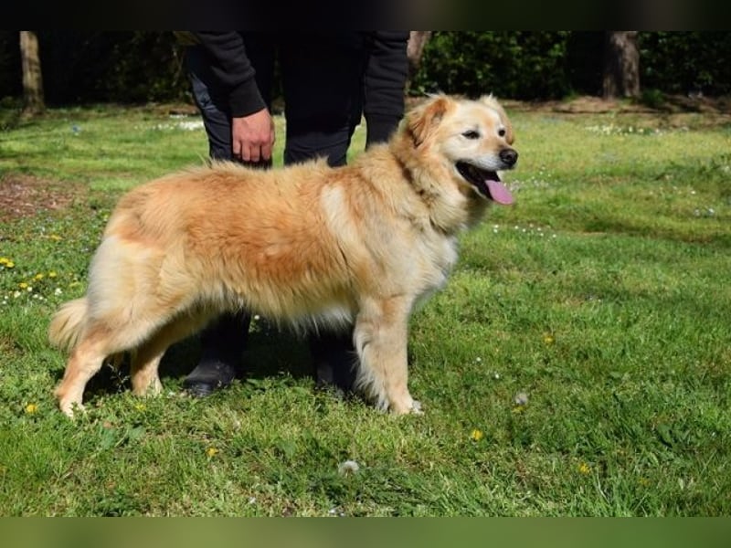 Alemix - Im zweiten Anlauf neuer Altersruhesitz gesucht