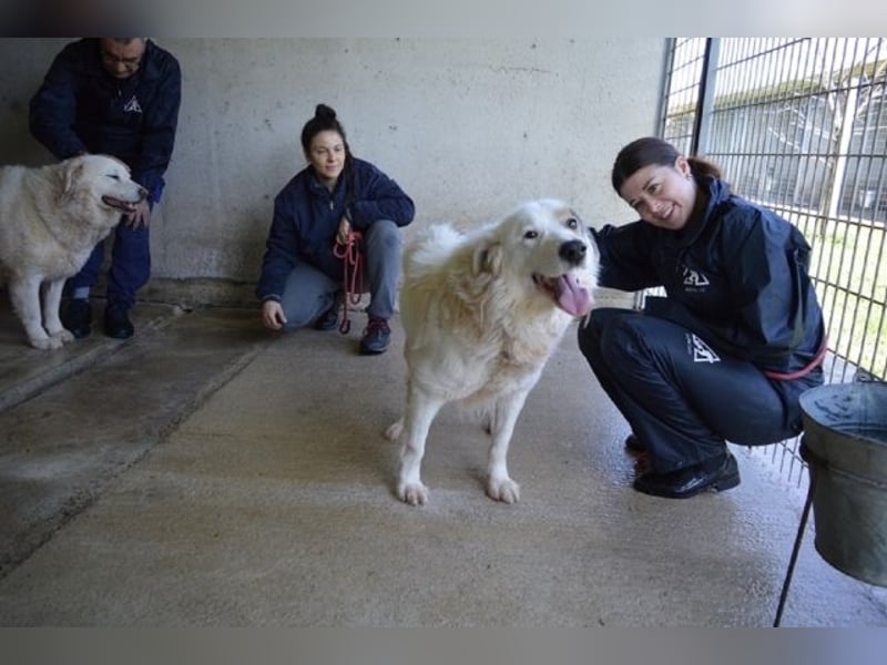 Bailoch - Zeig mir doch bitte...