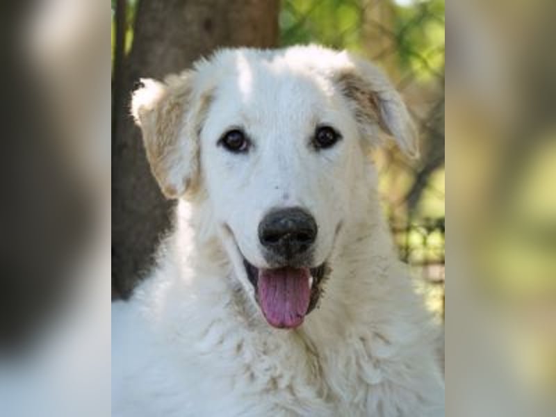 Tonia - Still, stark und voller Herz