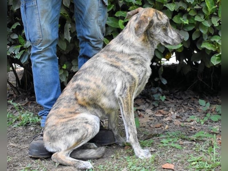 Uladine - hat alles verloren...