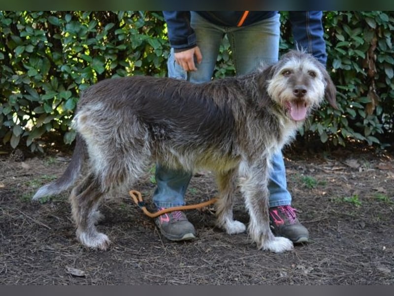 Minnie - Nach 7 Jahren Unglück endlich 7 Jahre Glück?