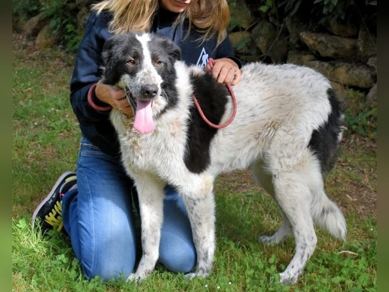 Jessie - Wer nicht neugierig ist, erfährt nichts