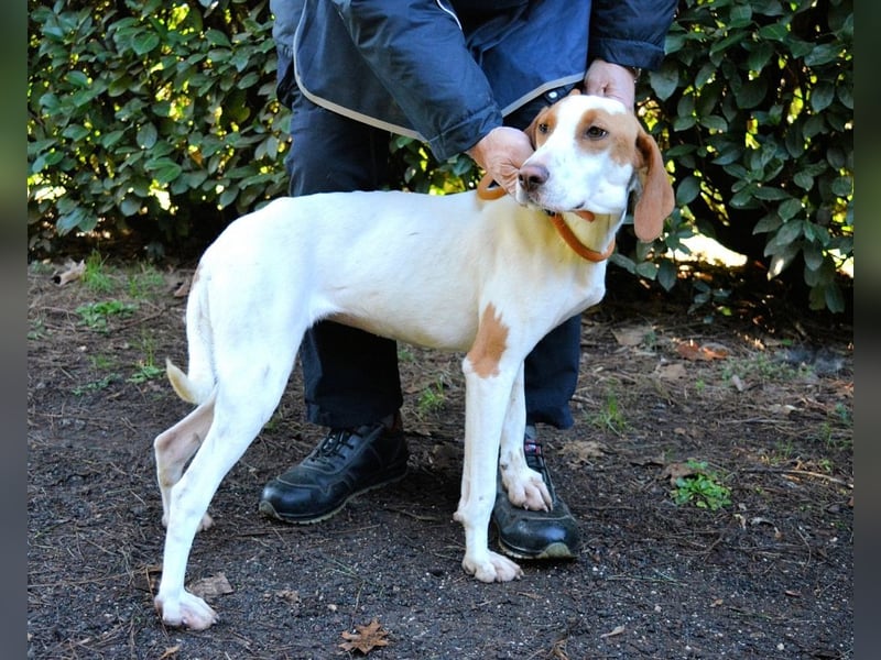 Samarie - Abenteuerlust und Kuschelzeit