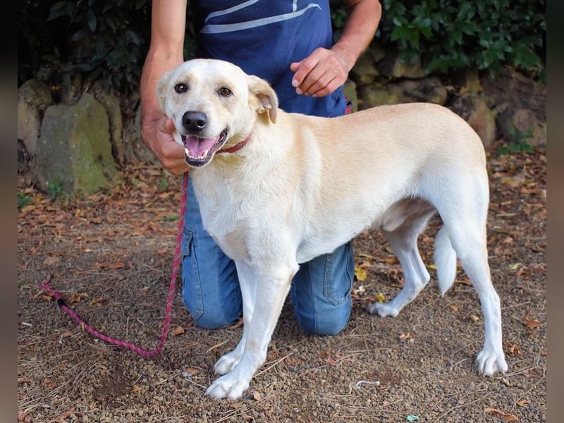 Hughie - macht ein Freundschaftsangebot