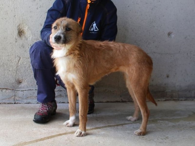 Renilde - eifrige Interviewpartnerin hat Pluspunkte gesammelt