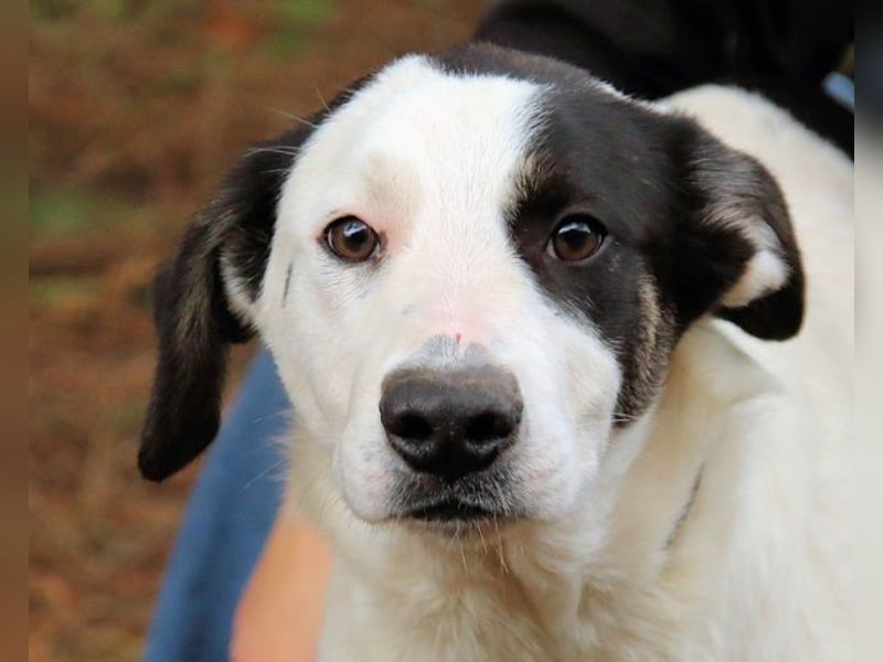 Marius - We proudly present...