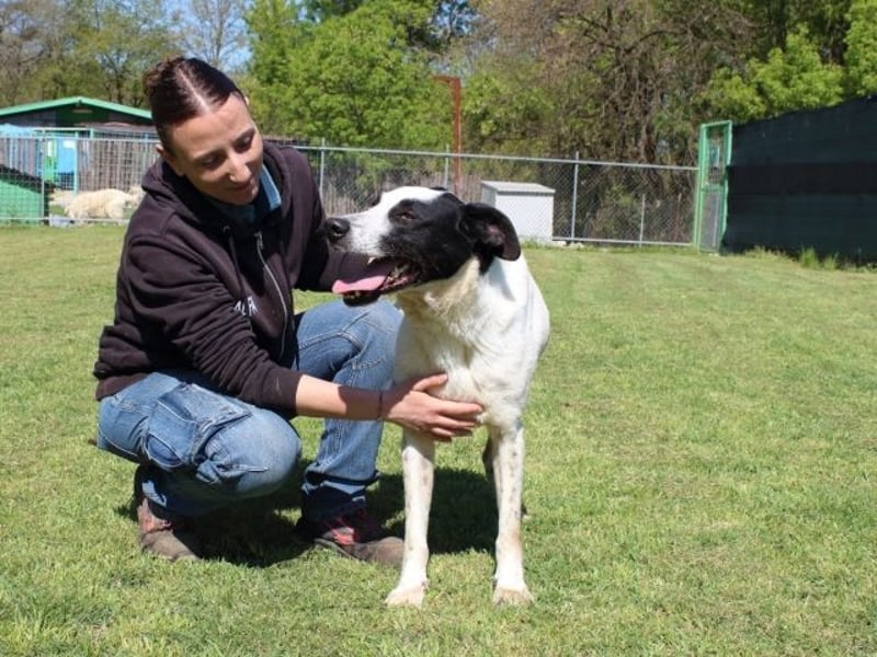 Florentino - Der hübscheste aller Batmans