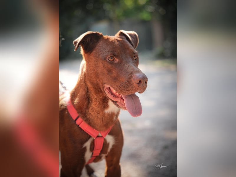 Birdy - Ich glaube, es wird Frühling