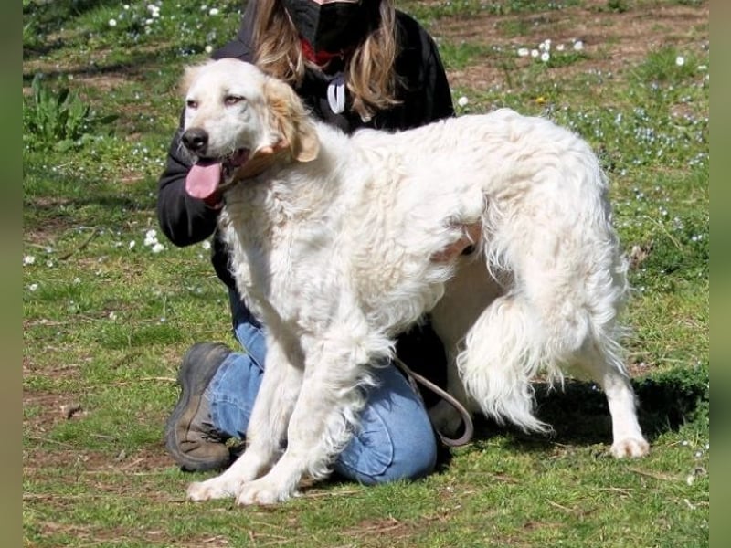 Kastore - Die Welt erkunden!