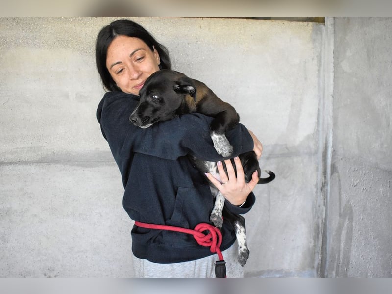 Marisca - NOTFALL - Dringend Zuhause gesucht - Es soll DEIN Leben werden
