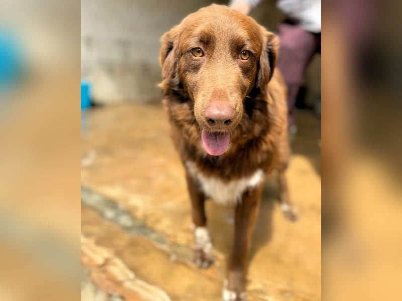 Beckey - Berufswunsch Prinzessin