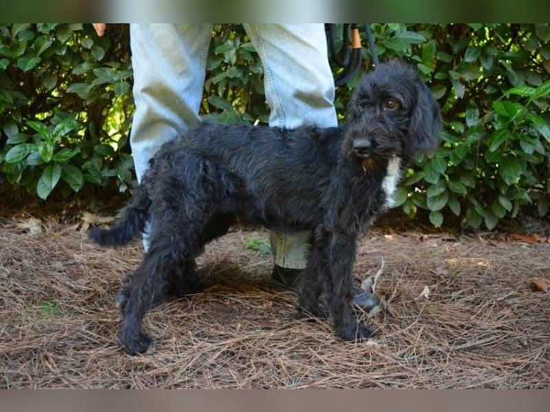 Elide - das doppelte Lottchen zu Edera