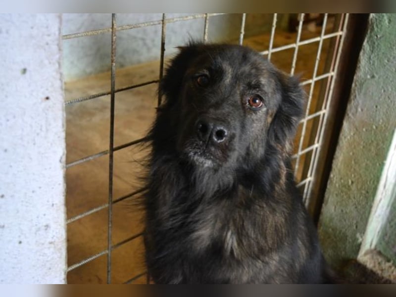 Nayra - unsere Süße