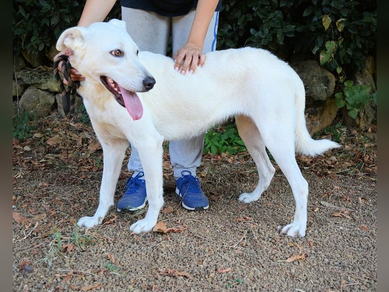 Dafnielle - Zukunft gesucht