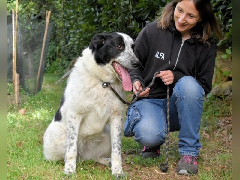 Jasmine - Wer nicht neugierig ist, erfährt nichts!