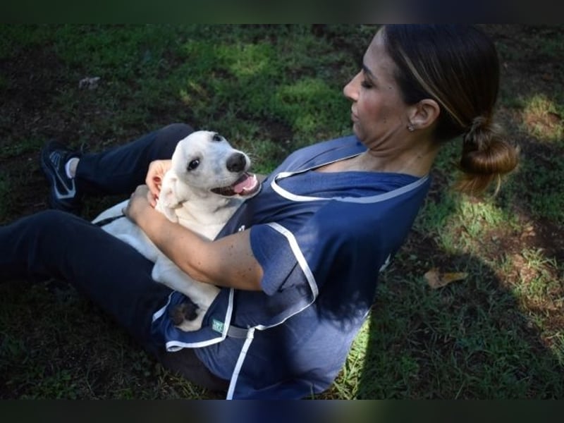 Scrubby - Ein riesiges Missverständnis!