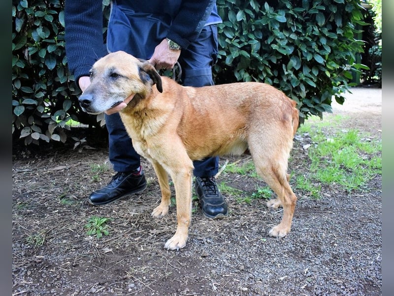 Nidal - Notfall - Was jetzt zählt