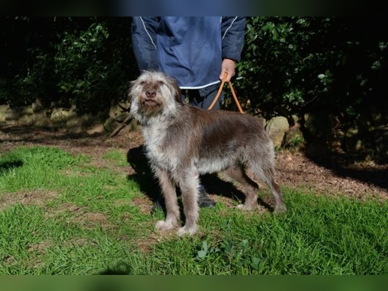 Minnie - Nach 7 Jahren Unglück endlich 7 Jahre Glück?