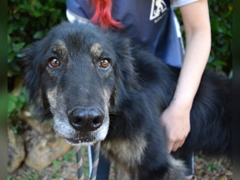 Pinot - "Unmöglich!" sagte die Tatsache... Pinot - "Unmöglich!" sagte die Tatsache...