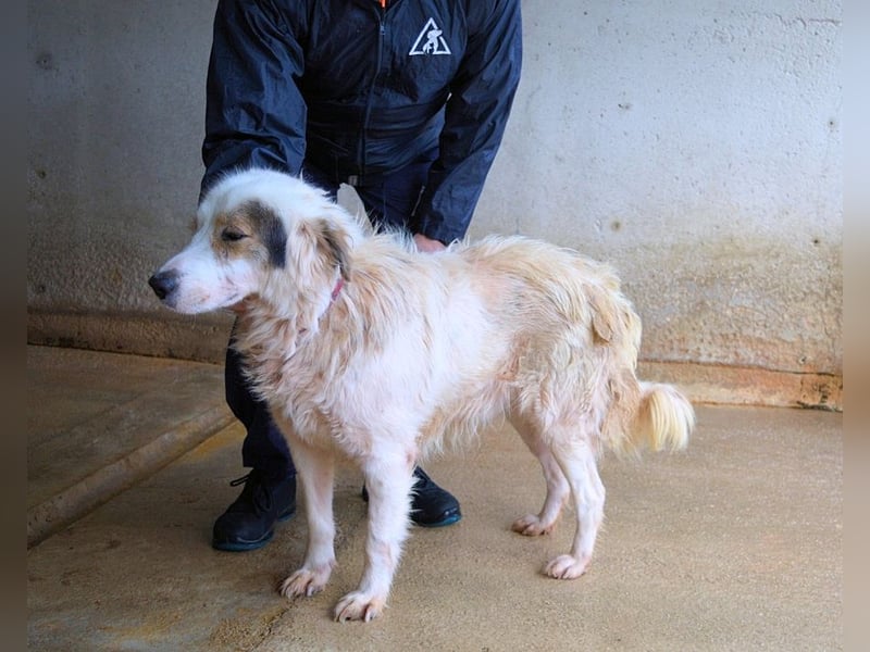 Bailoch - Zeig mir doch bitte...