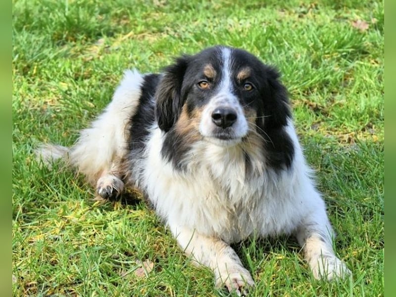 Collin - Wer Vertrauen hat, erlebt jeden Tag Wunder