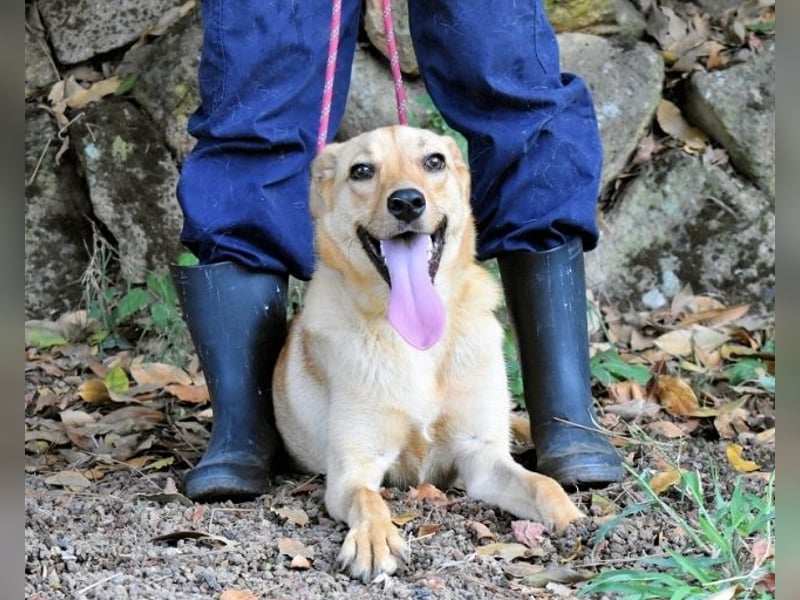 Lilyrose - als kleine Muschel ins Glück!