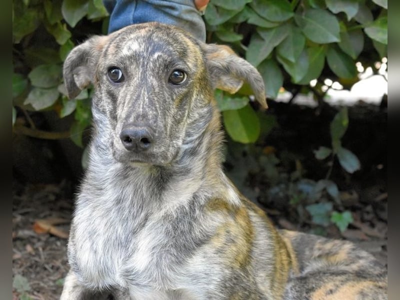 Uladine - hat alles verloren...