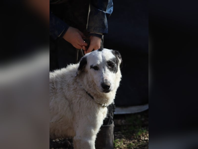 Marni - Dieses Herz hat schon zu lange gewartet