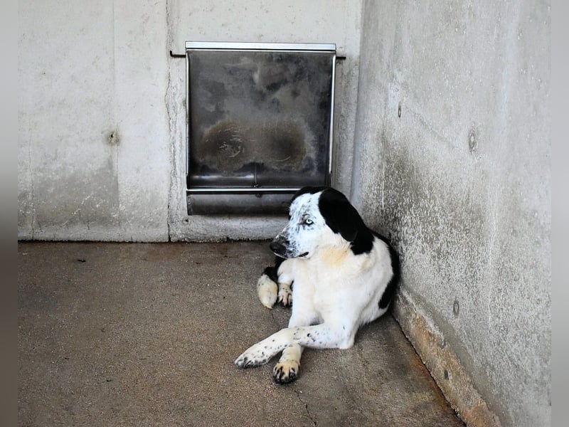 Nyxiel - Die schönsten Augen