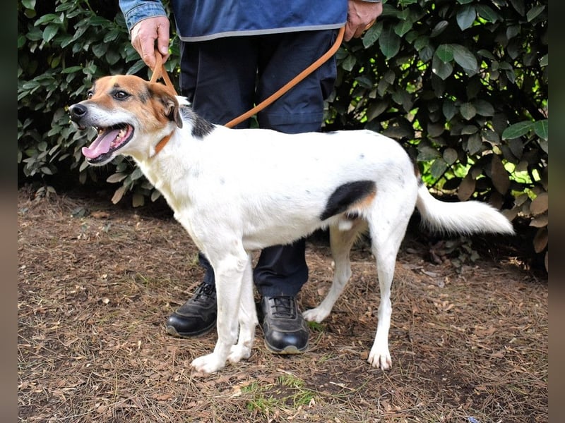 Kamyll - Der Platz neben dir