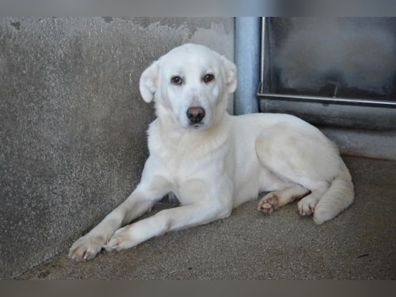 Cyra - Cyra, bald bist auch Du dran!