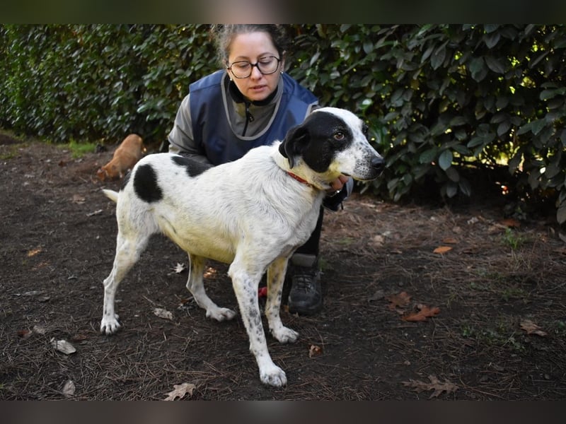 Kileo - ...Sternenstaub, wo bist du?