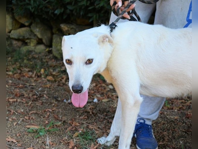 Dafnielle - Zukunft gesucht