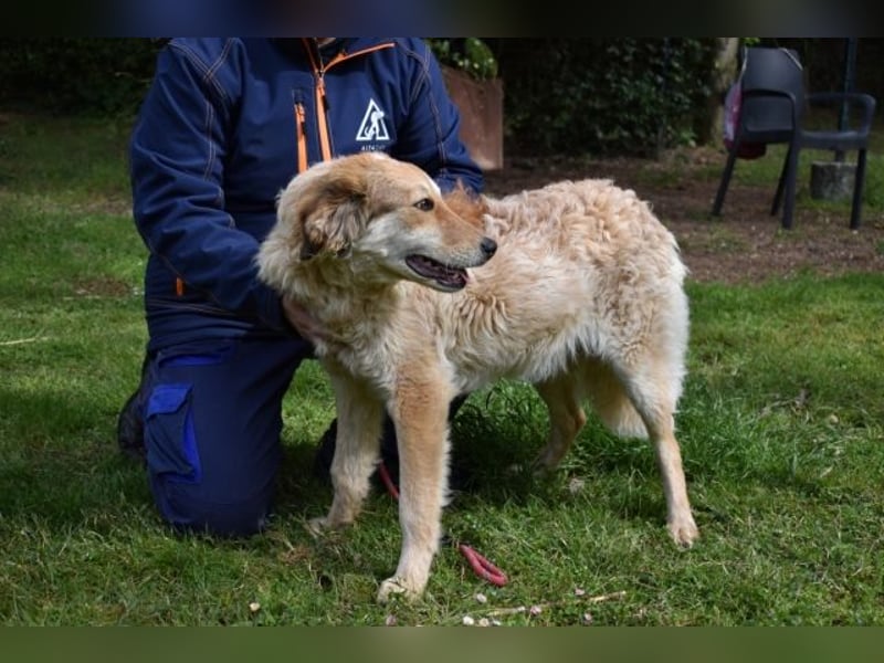 Ligorio - Zwölf, elf, zehn ... eins - Ligorio