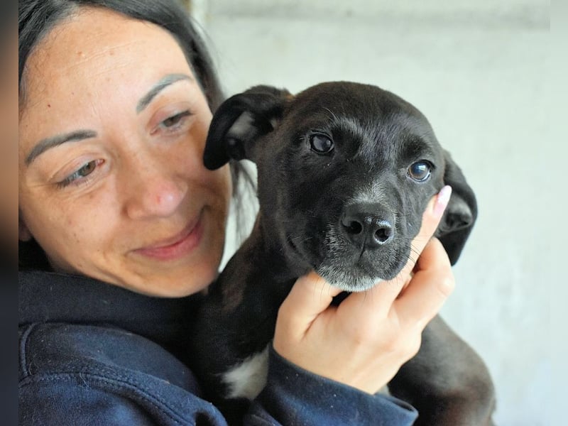 Marisca - NOTFALL - Dringend Zuhause gesucht - Es soll DEIN Leben werden