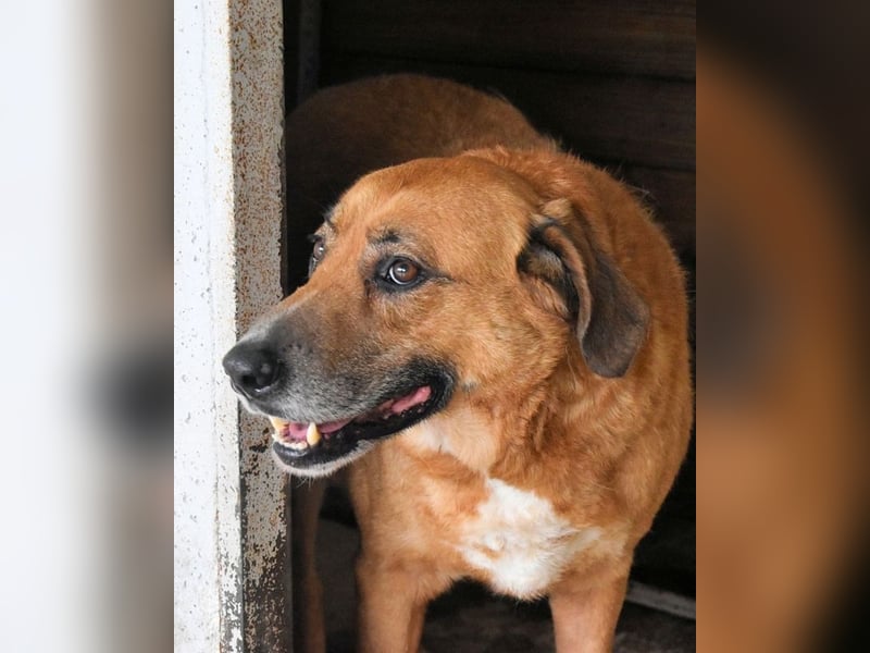 Kemp - Runder Rundum-Schatz