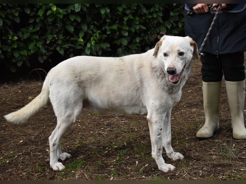 Ghemon - Notfall - Wie wenig kann ein Leben zählen?