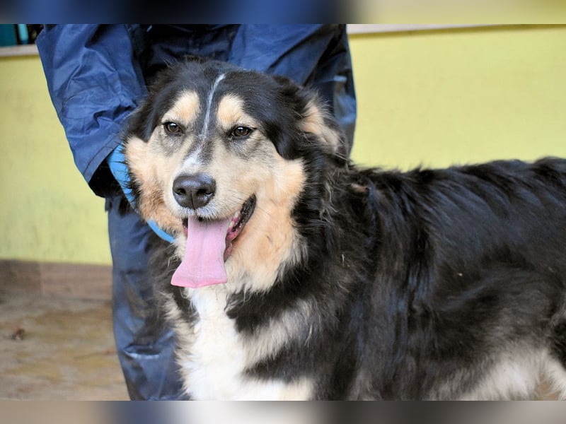 Oliverio - ohne Anklage hinter Gittern